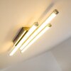 Iskut Plafondlamp LED Chroom, 3-lichts