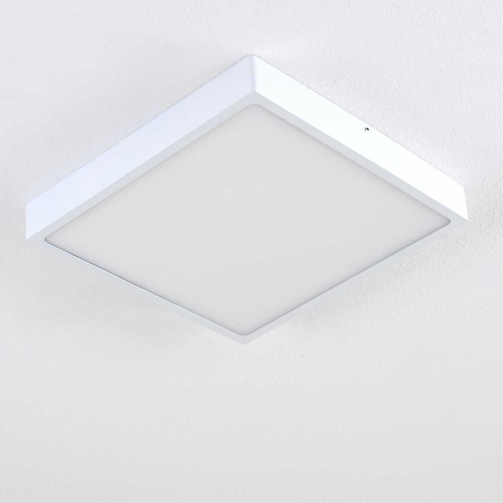 Broglen Plafondlamp LED Wit, 1-licht