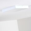 Broglen Plafondlamp LED Wit, 1-licht