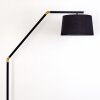 Kongakut Staande lamp Goud, Zwart, 1-licht