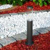 Noreaz Sokkellamp LED Antraciet, 1-licht