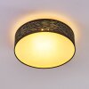 Bathinda Plafondlamp LED Wit, 1-licht