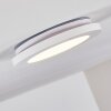Siguna Plafondlamp LED Wit, 1-licht
