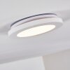 Siguna Plafondlamp LED Wit, 1-licht
