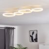 Grasse Plafondlamp LED Wit, 1-licht