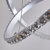 Saginaw Hanger LED Nikkel mat, 1-licht, Afstandsbediening, Kleurwisselaar