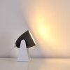 Takeda Tafellamp Wit, 1-licht