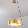 Novara Hanger Goud, 3-lichts