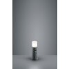Trio HOOSIC Sokkellamp Antraciet, 1-licht, Bewegingsmelder