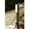 Trio SUEZ Buiten staande lamp LED Zwart, 1-licht