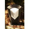 Trio SUEZ Buiten staande lamp LED Zwart, 1-licht