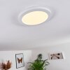 Siguna Plafondlamp LED Wit, 1-licht
