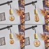 Blaco Hanglamp Zwart, 5-lichts