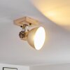 Orny Plafondlamp Bruin, Gegalvaniseerd, 1-licht