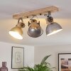 Orny Plafondlamp Bruin, Gegalvaniseerd, 3-lichts