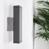 Roseau Muurlamp LED Antraciet, 1-licht