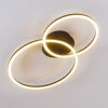 Korca Plafondlamp LED Zwart, 2-lichts