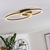 Korca Plafondlamp LED Zwart, 2-lichts