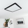Siguna Plafondlamp LED Zwart, Wit, 1-licht