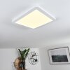 Siguna Plafondlamp LED Wit, 1-licht