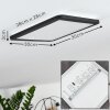 Siguna Plafondlamp LED Zwart, Wit, 1-licht