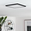 Siguna Plafondlamp LED Zwart, Wit, 1-licht