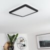 Siguna Plafondlamp LED Zwart, Wit, 1-licht