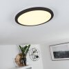 Siguna Plafondlamp LED Zwart, Wit, 1-licht