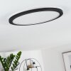 Siguna Plafondlamp LED Zwart, Wit, 1-licht