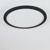 Siguna Plafondlamp LED Zwart, Wit, 1-licht