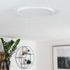 Siguna Plafondlamp LED Wit, 1-licht