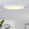Siguna Plafondlamp LED Wit, 1-licht