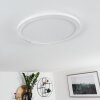 Siguna Plafondlamp LED Wit, 1-licht