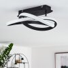 Cochato Plafondlamp LED Zwart, Wit, 2-lichts