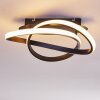 Cochato Plafondlamp LED Zwart, Wit, 2-lichts