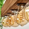 Berat Hanglamp Bruin, Zwart, 5-lichts