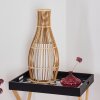 Saranda Staande lamp Bruin, 1-licht