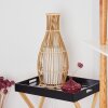 Saranda Staande lamp Bruin, 1-licht