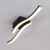Letala Plafondlamp LED Zwart, 2-lichts