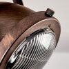 Herford Plafondlamp Koperkleurig, Natuurlijke kleuren, 3-lichts