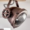Herford Plafondlamp Koperkleurig, Natuurlijke kleuren, 3-lichts