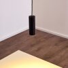 Zuoz Hanger Zwart, 1-licht
