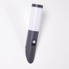 Gaborone Buiten muurverlichting Antraciet, 1-licht, Bewegingsmelder Gaborone Buiten muurverlichting Antraciet, 1-licht, Bewegingsmelder