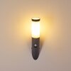 Gaborone Buiten muurverlichting Antraciet, 1-licht, Bewegingsmelder Gaborone Buiten muurverlichting Antraciet, 1-licht, Bewegingsmelder