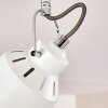 Safari Plafondlamp Wit, 4-lichts
