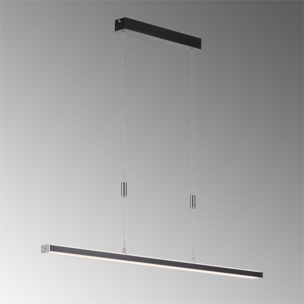 Fischer & Honsel Vitan TW Hanglamp LED Zwart, 1-licht main product photo