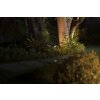 Philips verlichting Spot Tuin spotlight LED Zwart, 1-licht, Kleurwisselaar Philips verlichting Spot Tuin spotlight LED Zwart, 1-licht, Kleurwisselaar