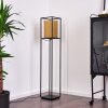 Kabul Staande lamp Goud, Zwart, 1-licht