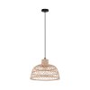 Eglo AUSNBY Hanger Zwart, 1-licht