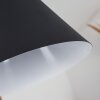 Vijes Hanger Zwart, 1-licht